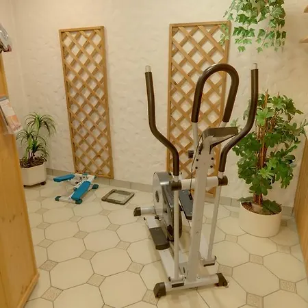 Hotel Garni Stadt Friedberg 3*